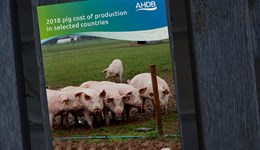 Cost of pig meat production in UK up 8% in 2018